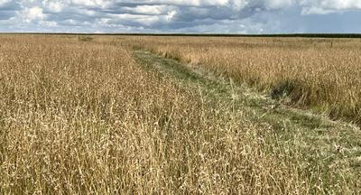 Farm For Sale in Bethlehem Rural, Bethlehem