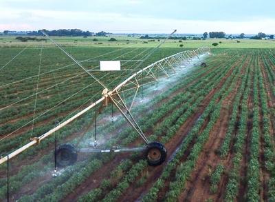 Farm For Sale in Theunissen, Theunissen