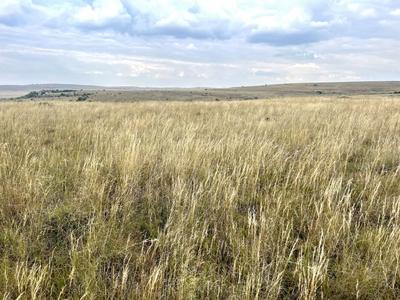 Farm For Sale in Steynsrus, Steynsrus