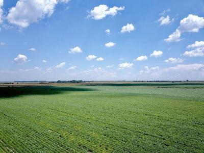 Farm For Sale in Kroonstad, Moqhaka
