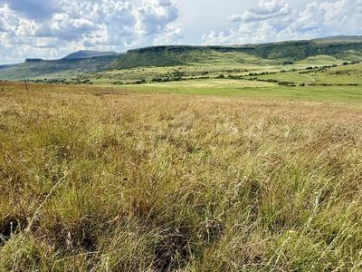 Farm For Sale in Harrismith, Harrismith
