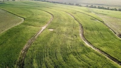 Farm For Sale in Warden, Warden