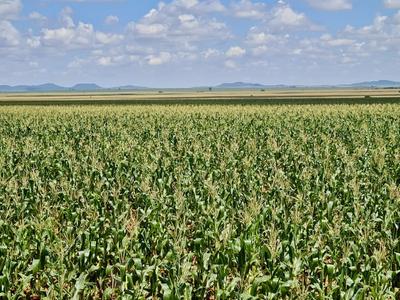 Farm For Sale in Bloemfontein Rural, Bloemfontein