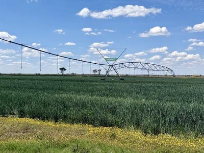 Farm For Sale in Koppies, Koppies